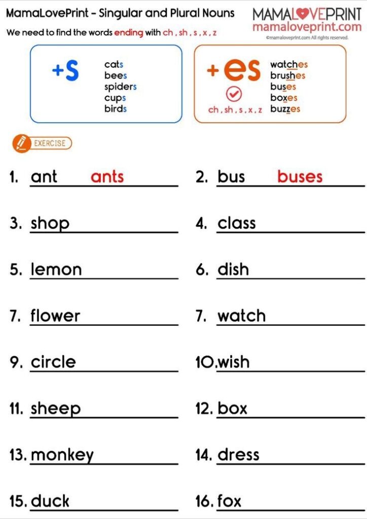 Singular And Plural Worksheets - Free Printable Worksheets