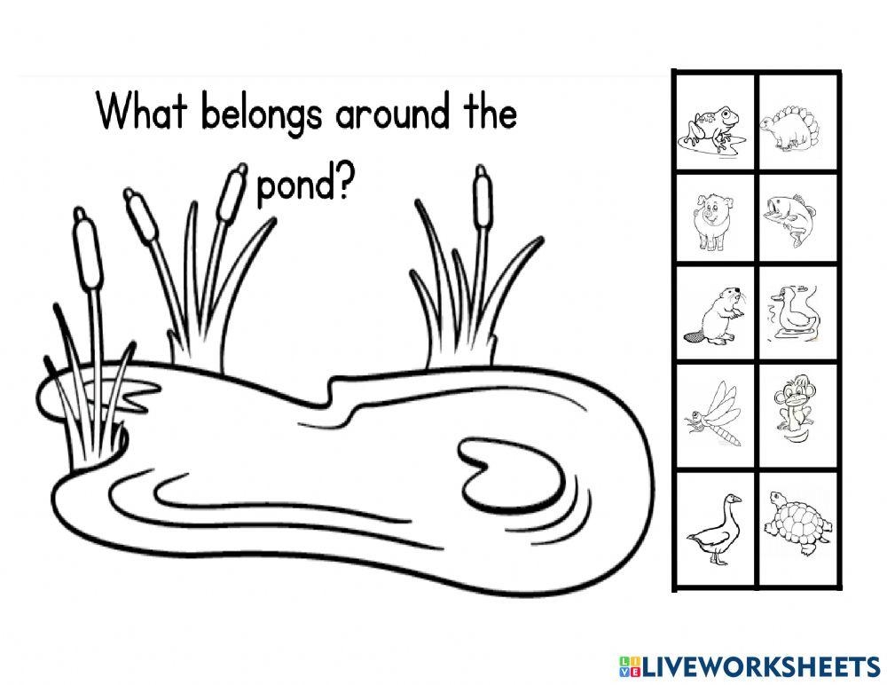 Pond Habitat Animals Worksheet Live Worksheets Worksheets Library