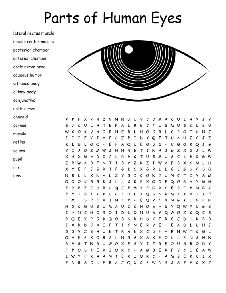 Mirroreyes Printable Crosswords Free Printable Worksheets