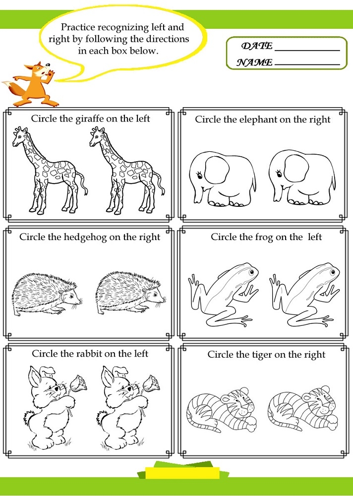 Activity For Kindergarten Kids