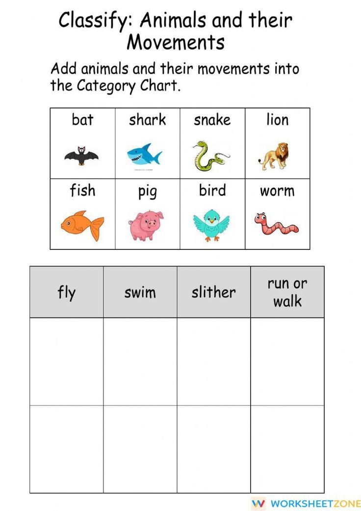 Animal Movements Classify Vocabulary Worksheet