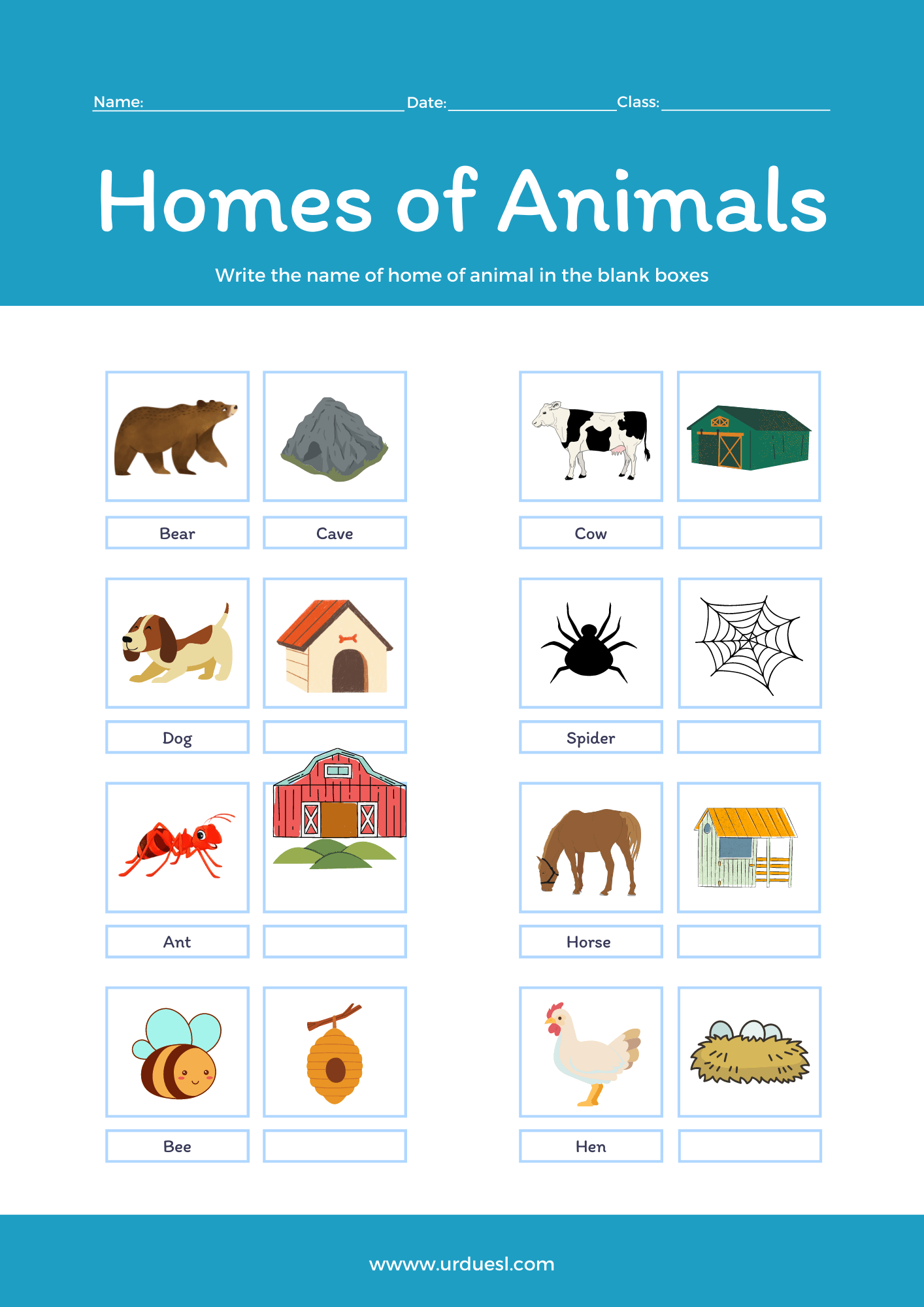 Animals And Their Homes Worksheet Vrogue co