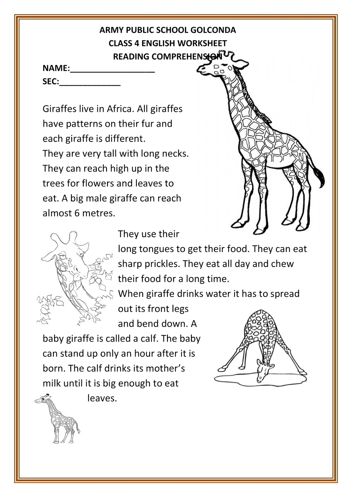 APSG Class 4 English Worksheet 1