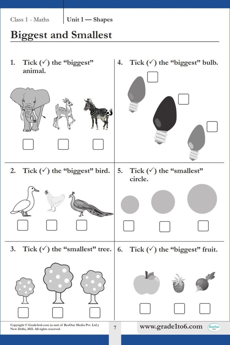 Biggest Smallest Class 1 Maths Worksheet 1st Grade Math Worksheets 