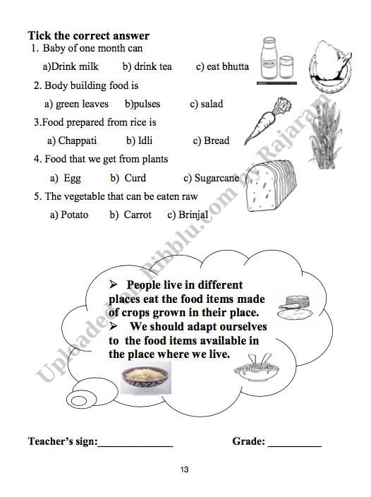 Class 3 Evs Chapter 3 Worksheet Class 3 Worksheet 1 Part 2 Worksheet 