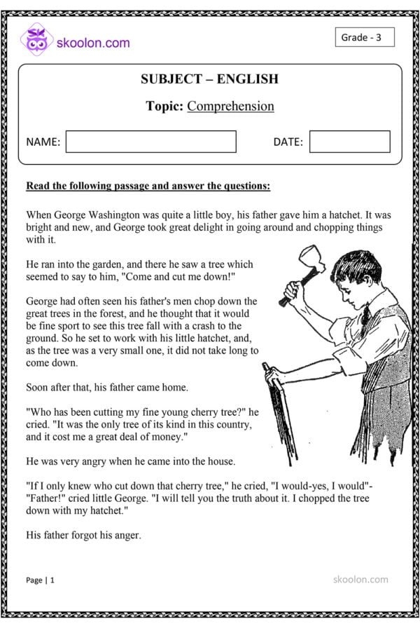 Comprehension Little Boy Skoolon