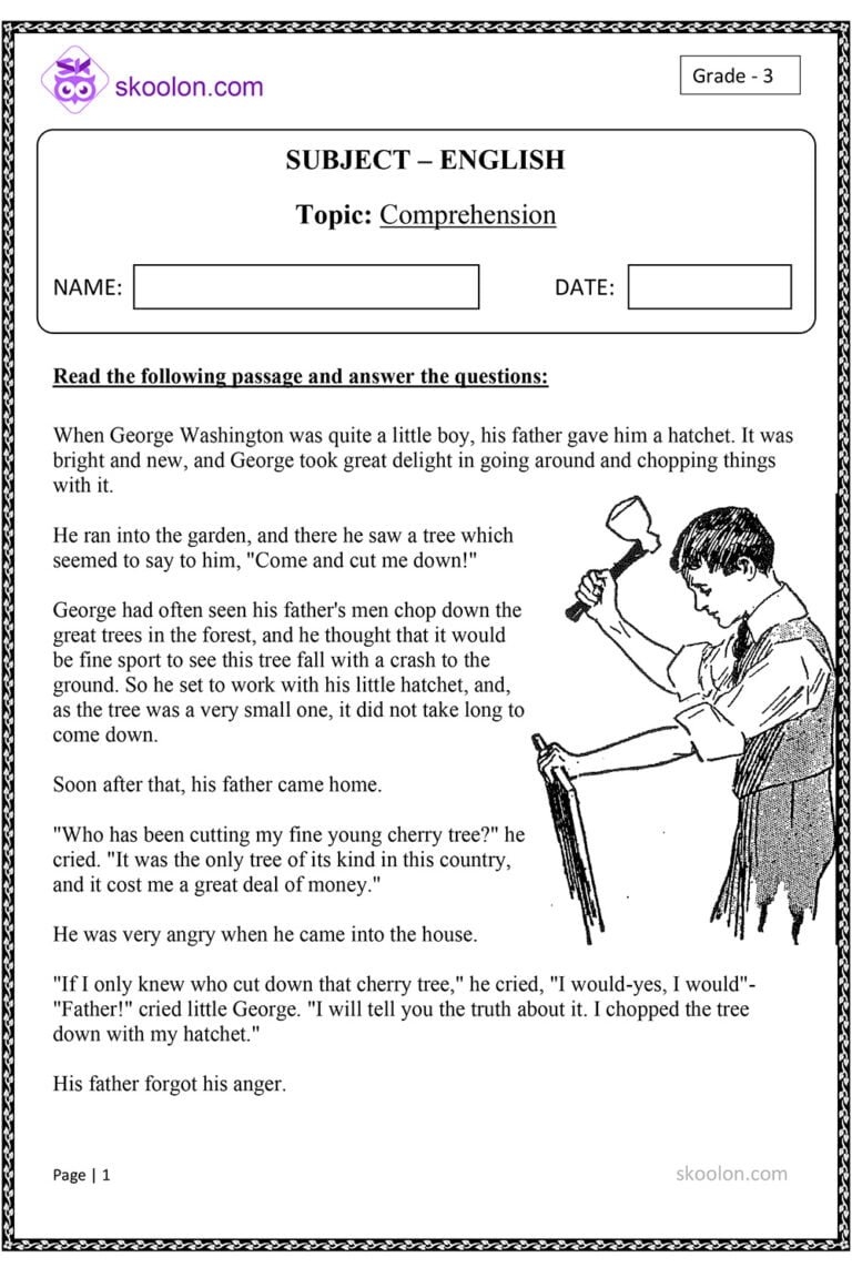 Comprehension Little Boy Skoolon