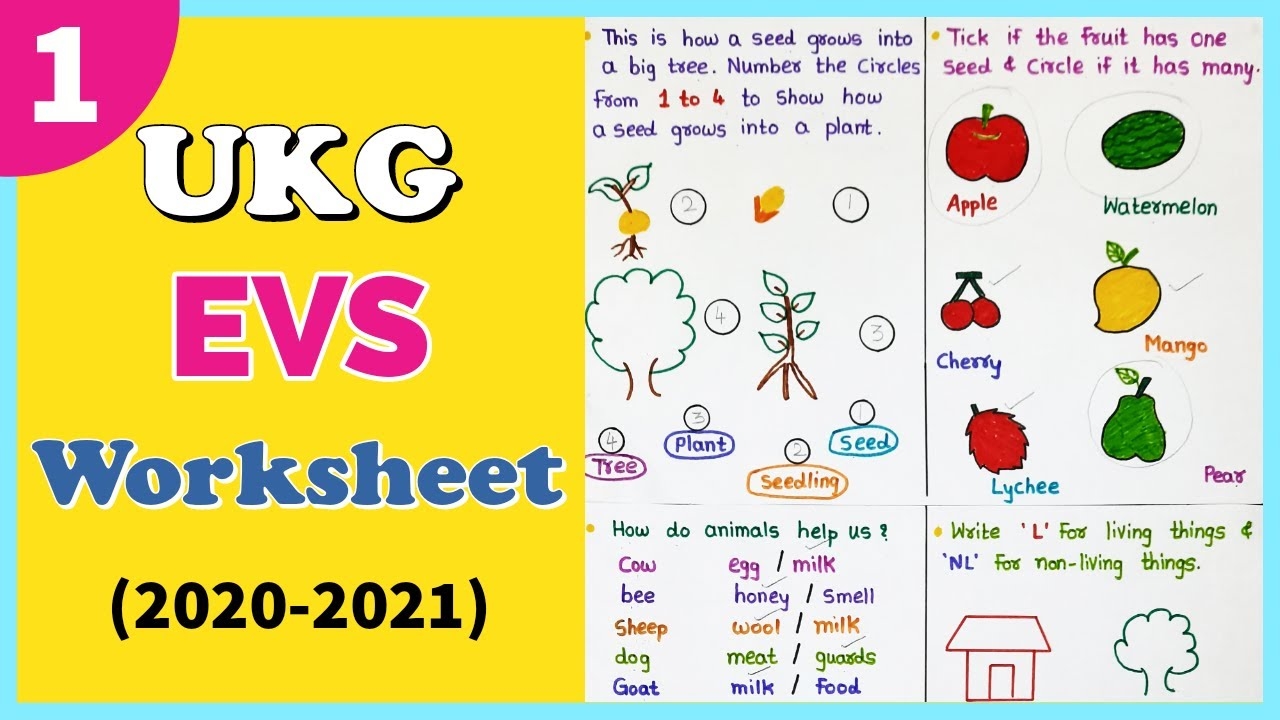 EVS Worksheet Of UKG Class UKG EVS Test Paper For Senior 52 OFF