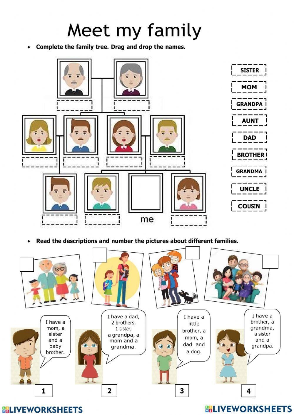 Family Members And Relatives Worksheet Live Worksheets Worksheets 