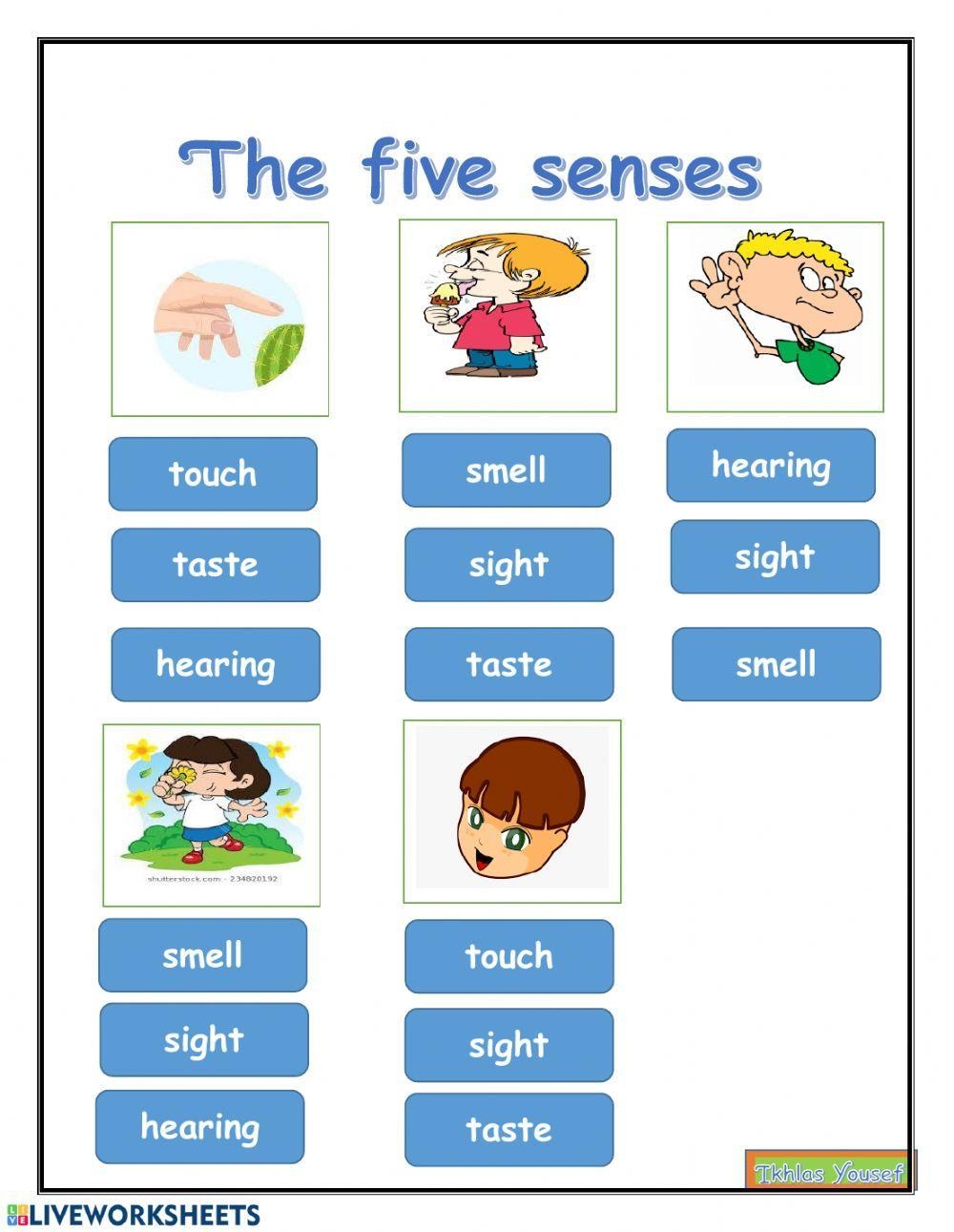 Five Senses Worksheet Live Worksheets Worksheets Library