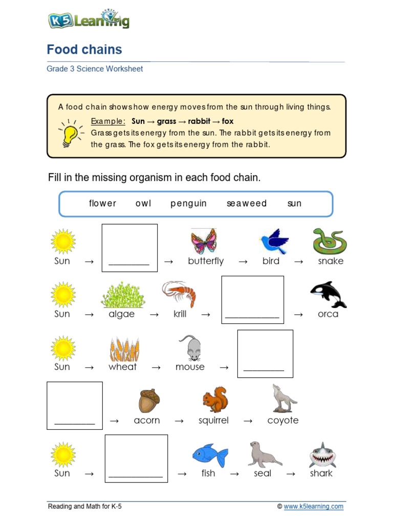 Food Chain Worksheet KS2 Science teacher Made Twinkl Worksheets 
