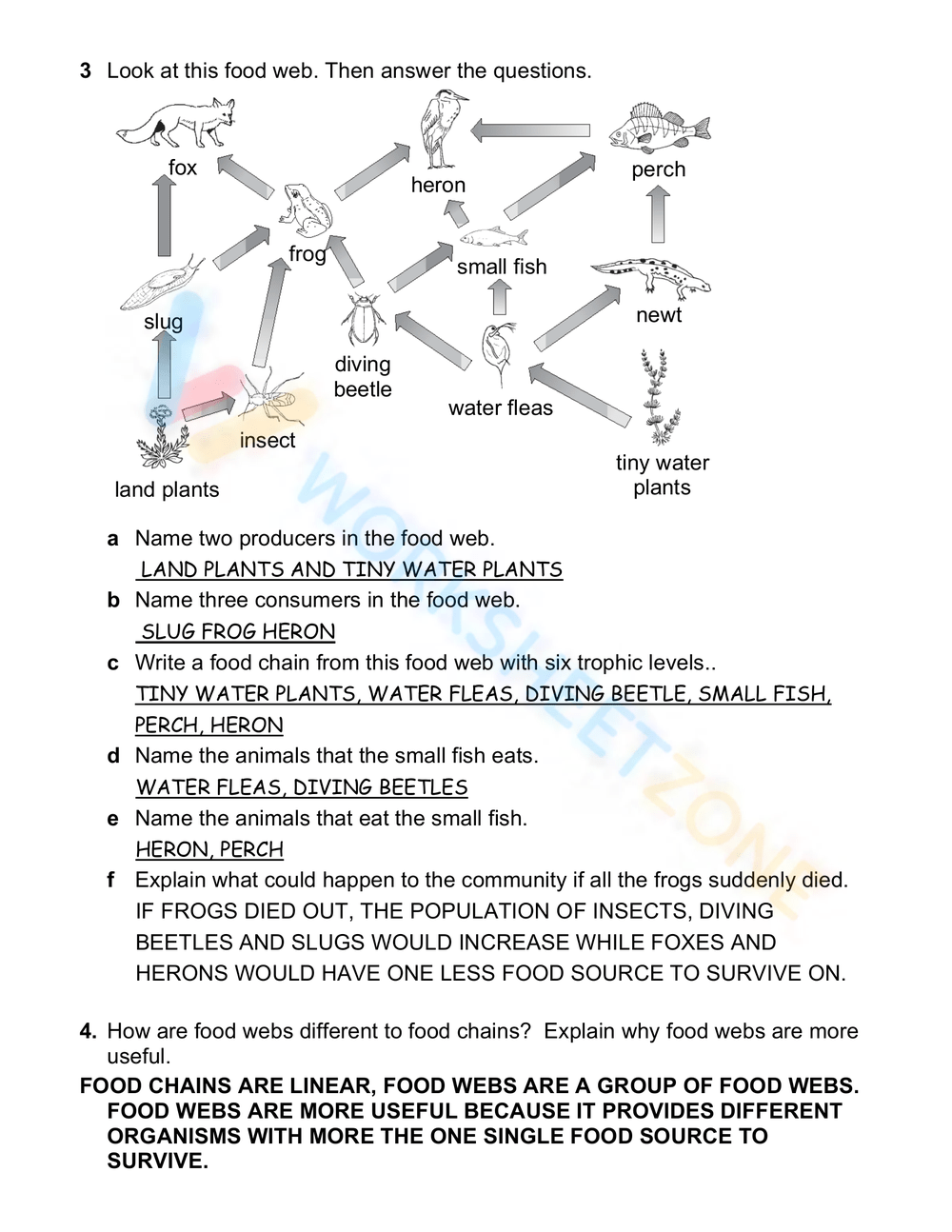 Food Chain Worksheets Free Printables Worksheets Library