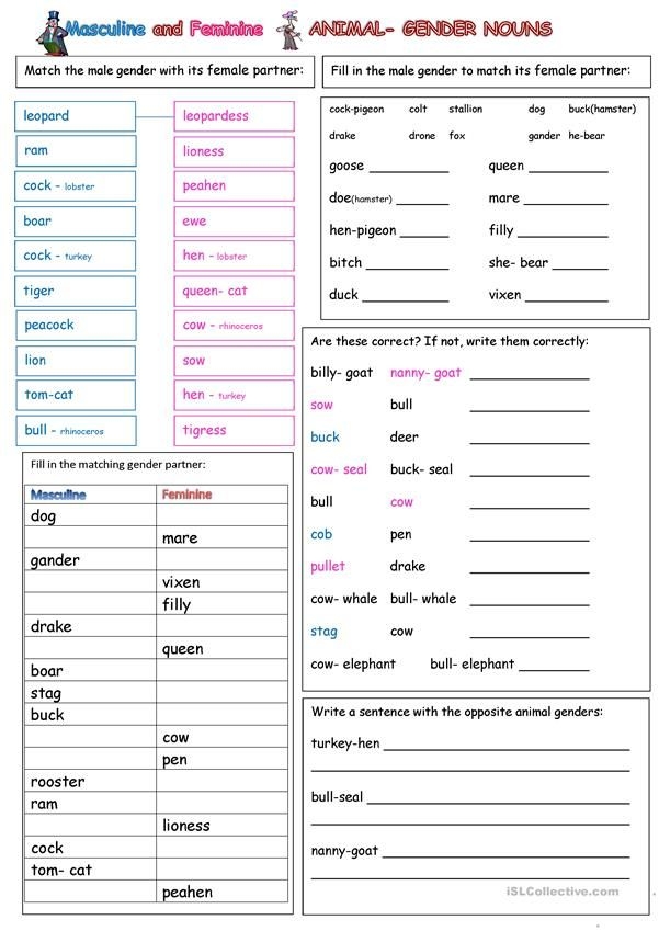Gender Nouns Worksheet 4th Grade