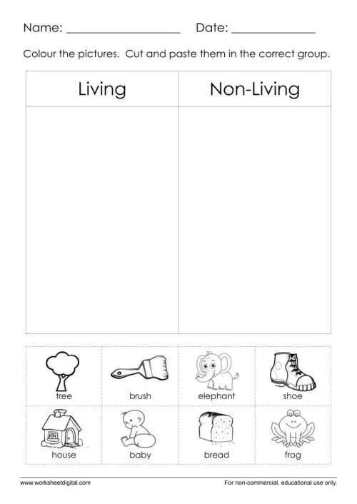 Living And Non Living Things Worksheet Worksheet Digital Worksheets 