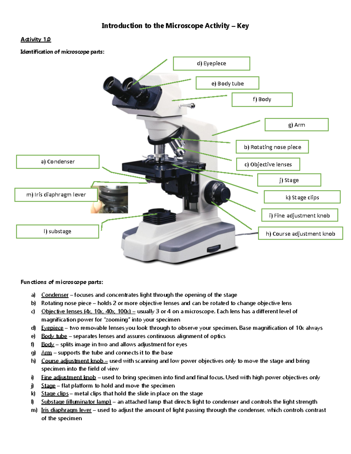 Microscope Parts And Use Worksheet Pro Worksheet