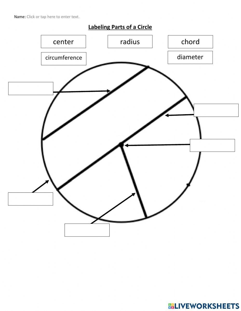 Parts Of A Circle Worksheets Worksheets Library