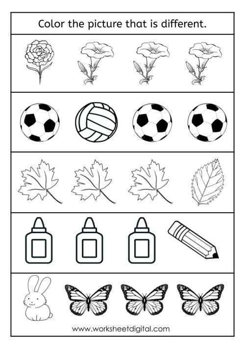 Same And Different Worksheets Enhance Learning With Engaging Exercises