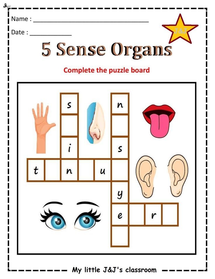 Sense Organs Printable Worksheet EVS Worksheet In 2023 Preschool