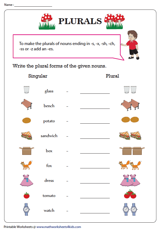 Singular And Plural Nouns Worksheet For Class 4 Noun Worksheets