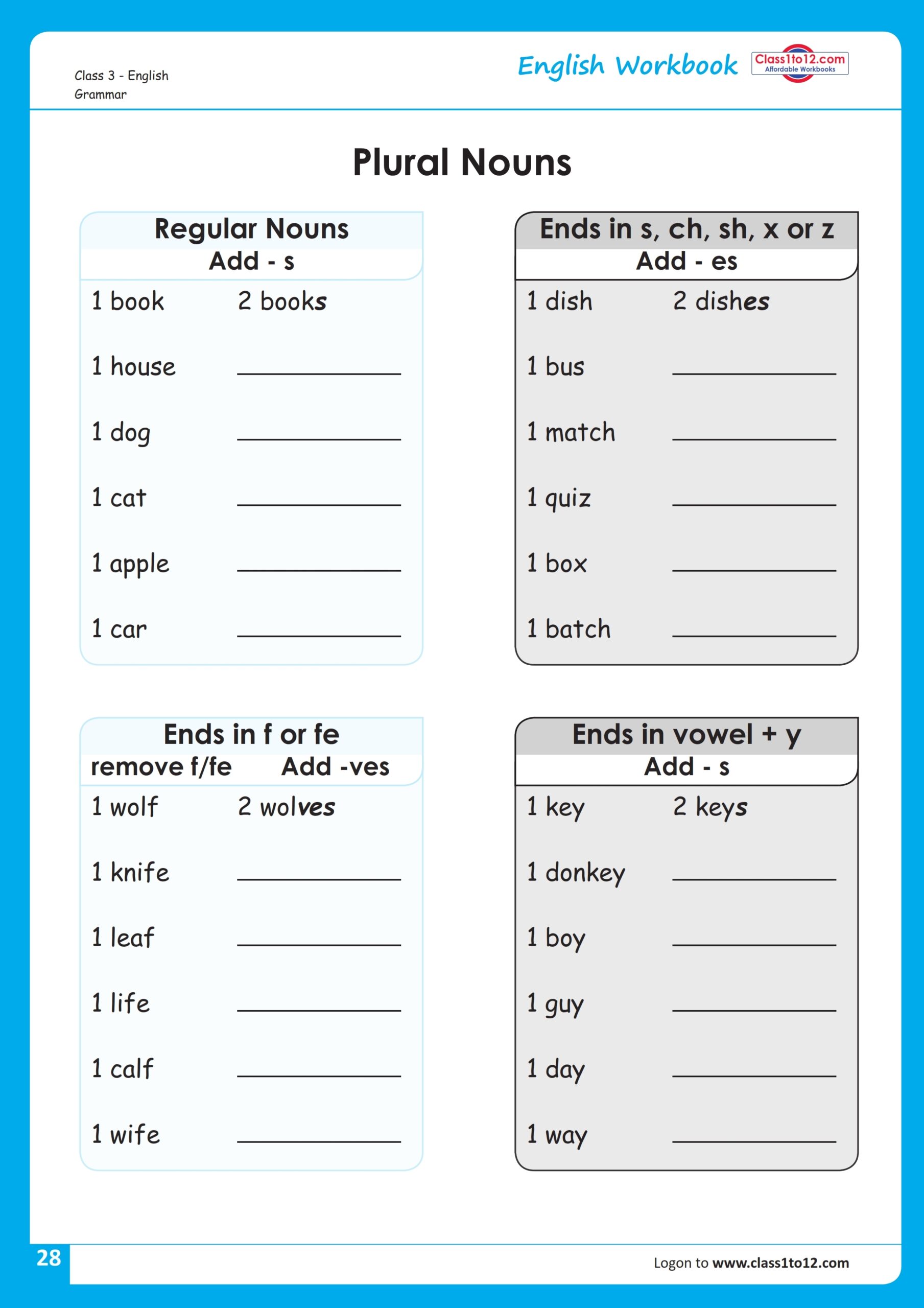 Singular Plural Exercises For Class 3 NCERT Class1to12 
