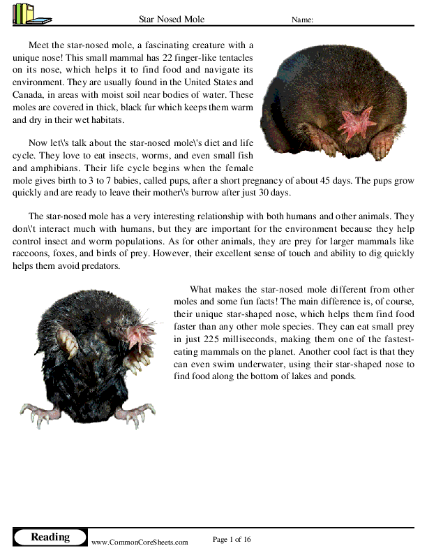 Star Nosed Mole Worksheet Download
