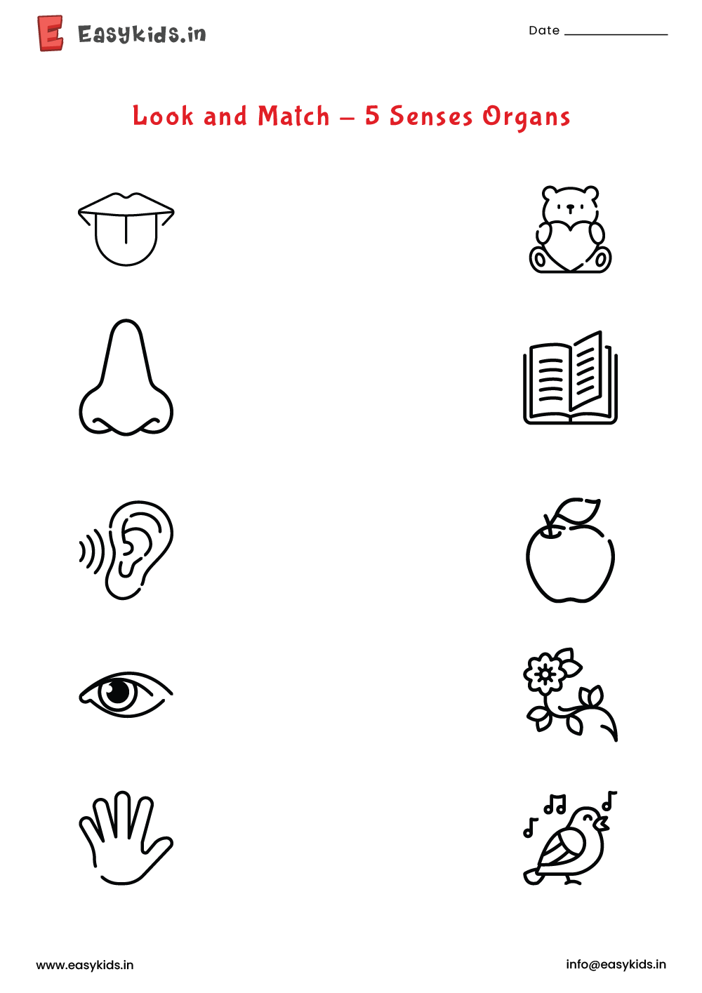 The 5 Senses Worksheet Science Year 1 Worksheets Library