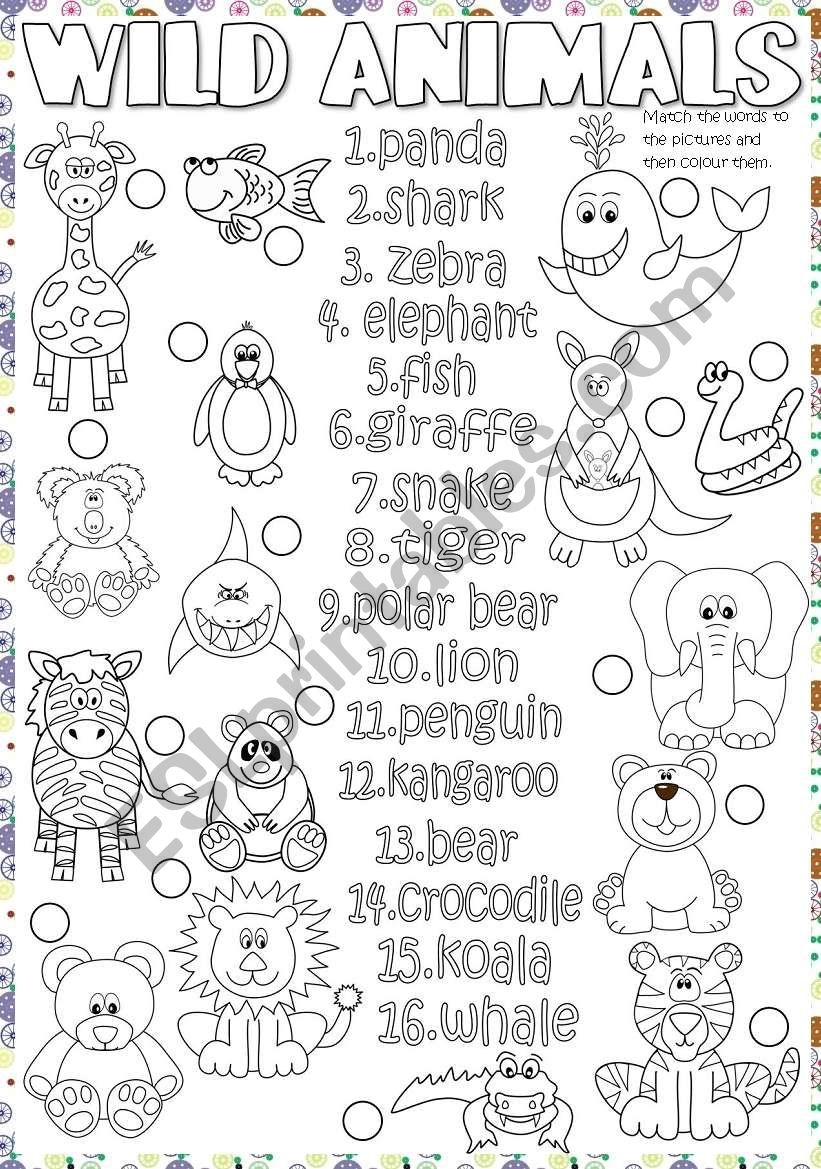 Wild Animals Reading Worksheet