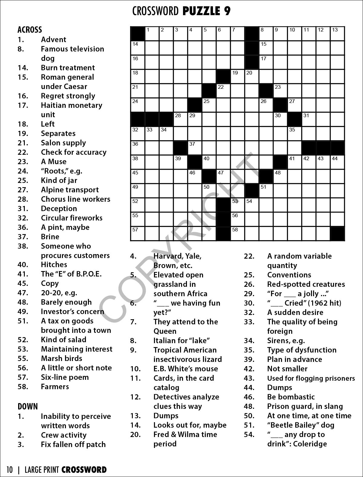 Amazon ZOCO Large Print Crossword Puzzle Books In Bulk 25 Pack Games For The Visually Impaired And Seniors Gifts For Nursing Home Worksheets Library